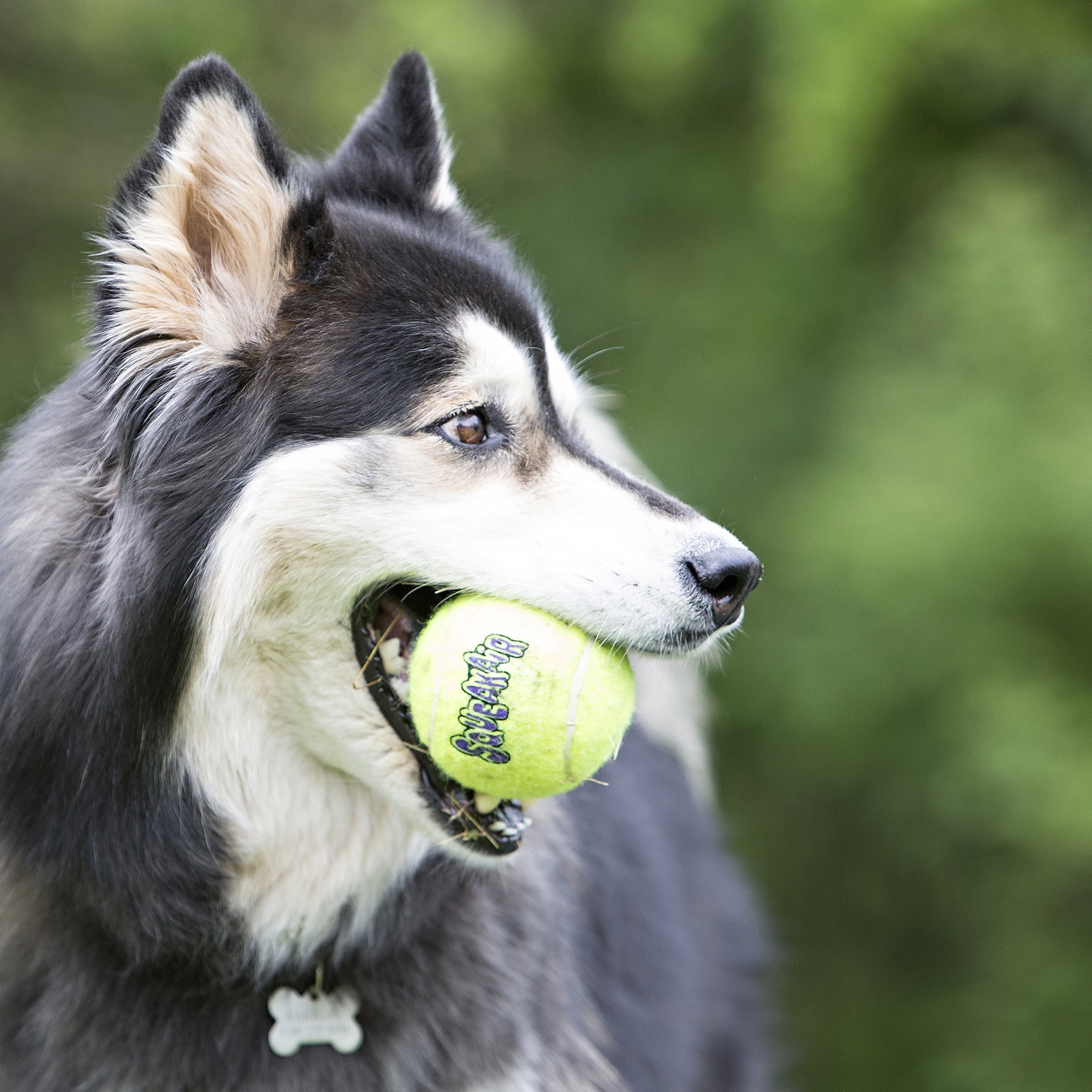 Kong SQUEAKAIR BALL Large - Pallina Squeaker per Cani Kong SQUEAKAIR BALL Large - Pallina Squeaker per Cani